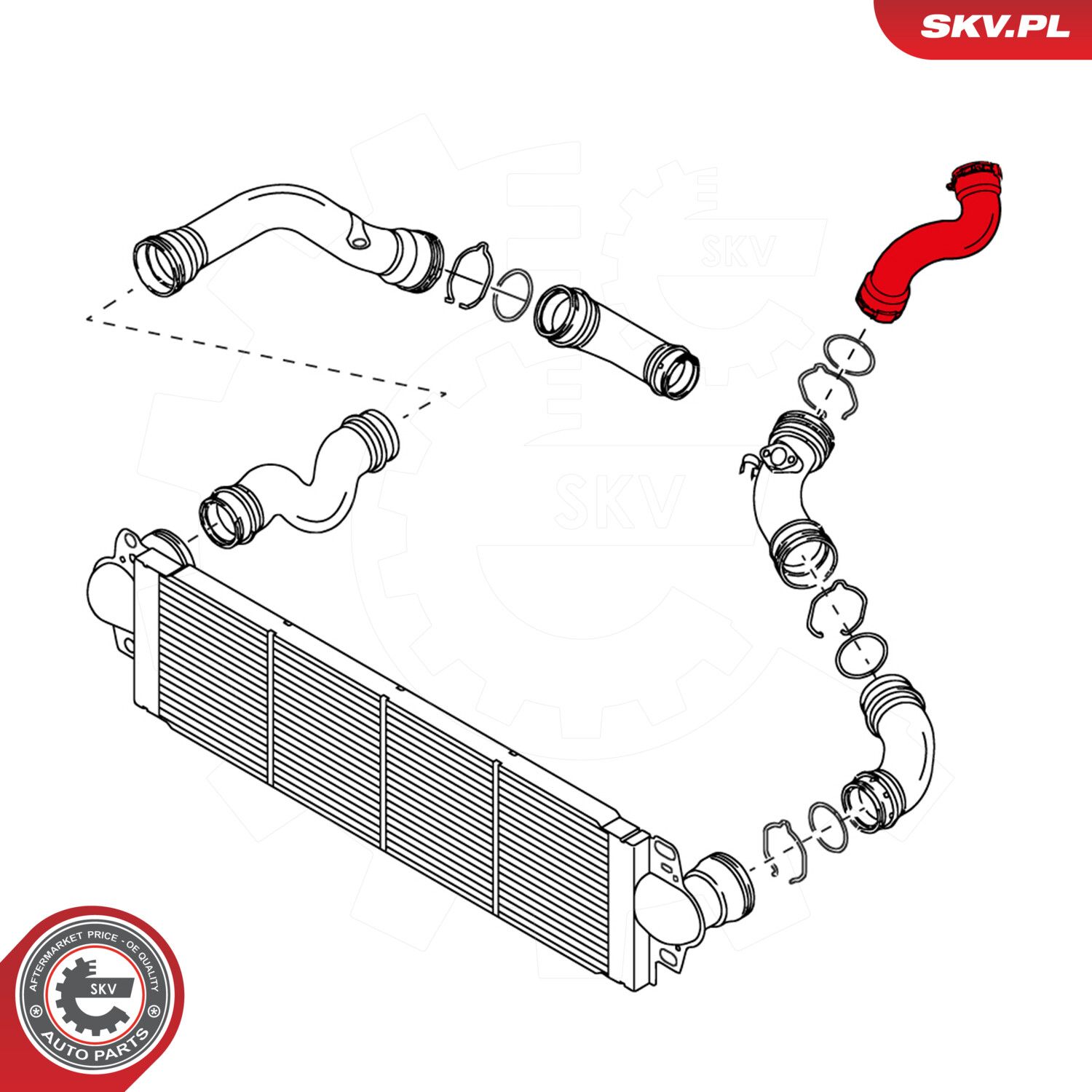 Charge Air Hose-1