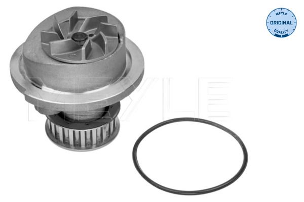 MEYLE 613 600 0005 Water pump, engine cooling