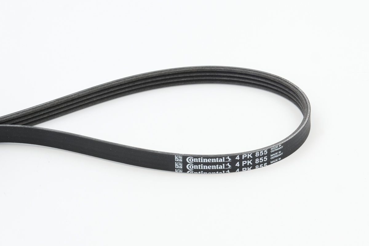 CONTINENTAL CTAM 4PK855 V-ribbed belt