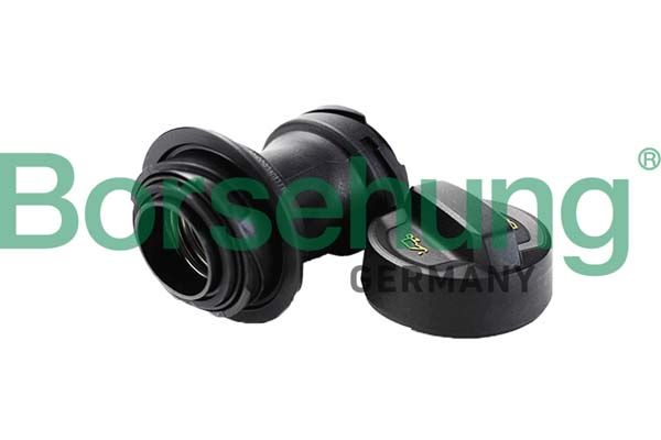 BORSEHUNG B12389 Pipe, oil filler neck