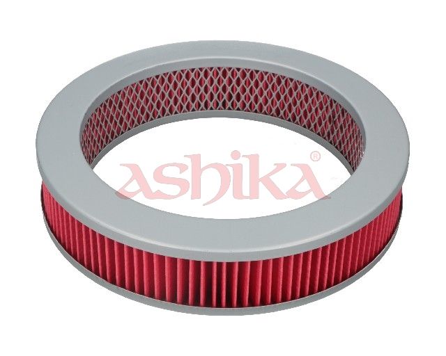 ASHIKA 20-01-102 Air filter