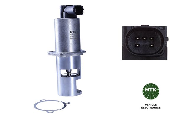 EGR Valve