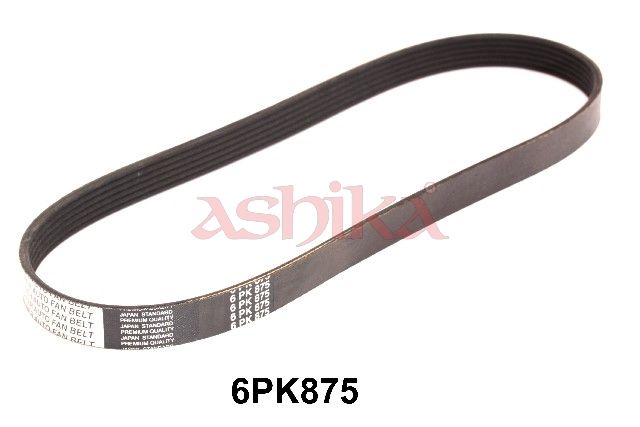 ASHIKA 112-6PK0875 V-ribbed belt