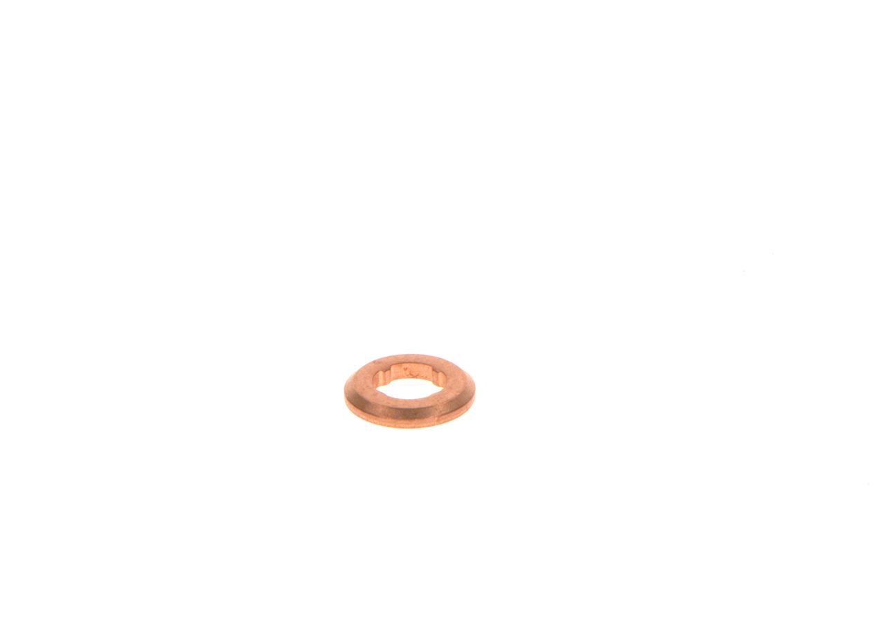 Seal Ring, nozzle holder-2