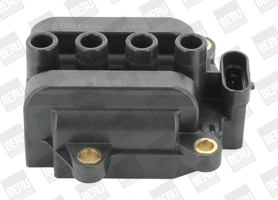 BORGWARNER (BERU) ZS325 Ignition coil