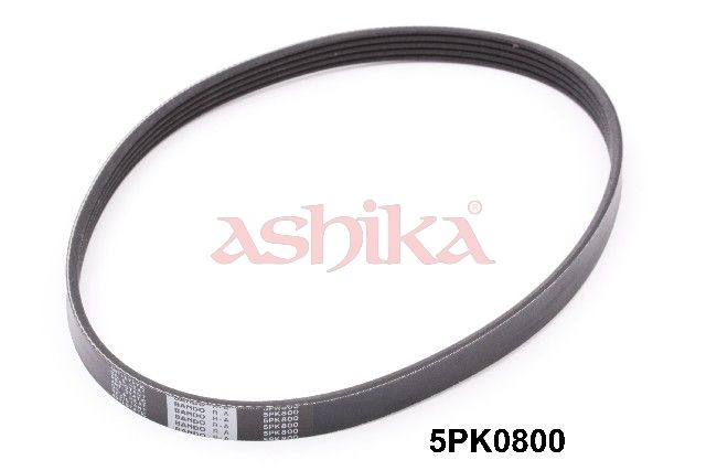 ASHIKA 112-5PK800 V-ribbed belt