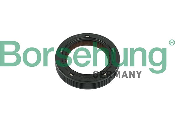 BORSEHUNG B18729 Shaft seal, camshaft