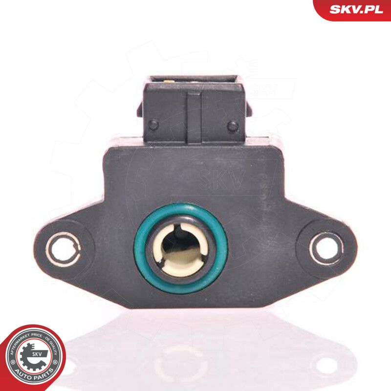 ESEN SKV 17SKV005 Sensor, throttle position