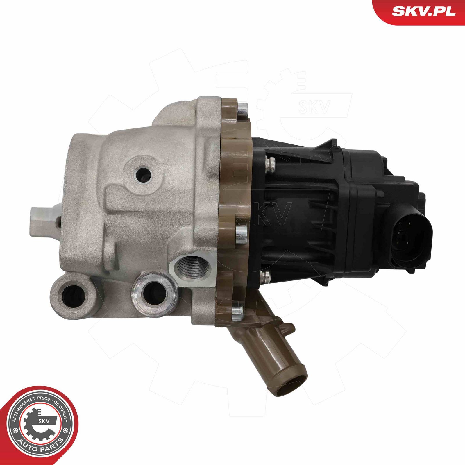 EGR Valve-3