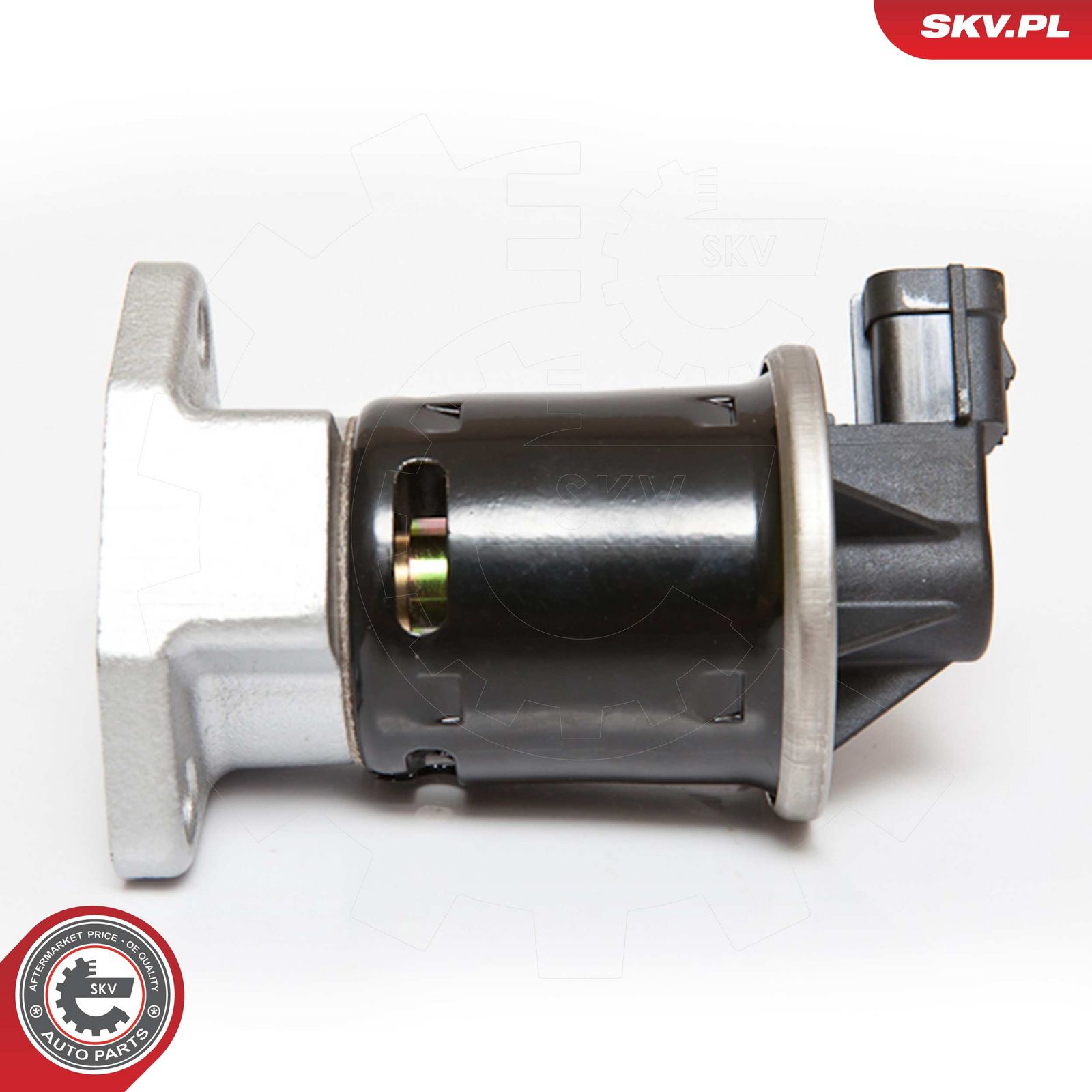 EGR Valve