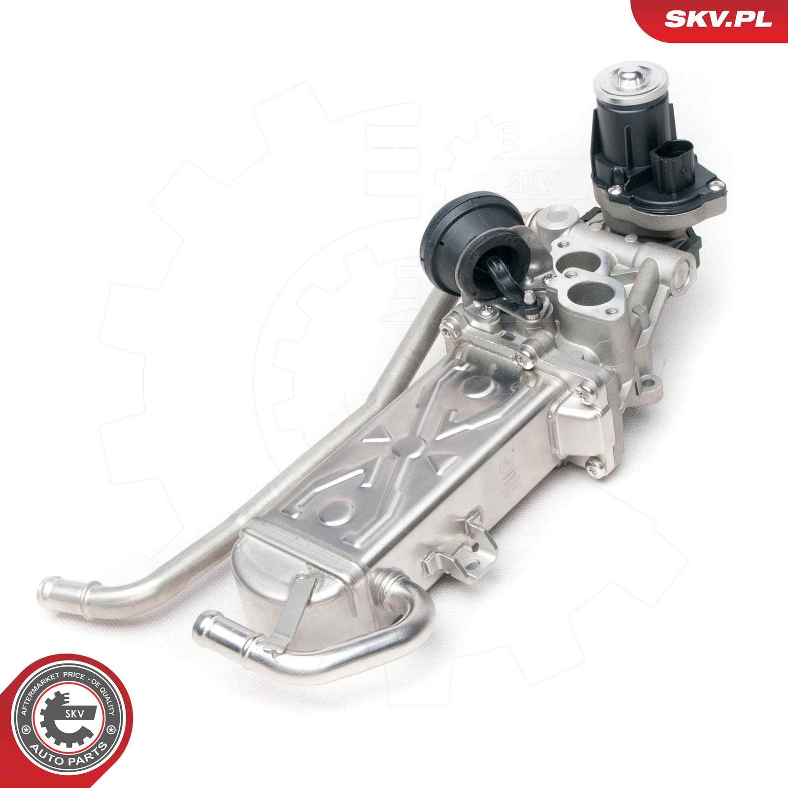 EGR Valve-5