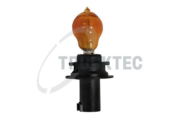 TRUCKTEC AUTOMOTIVE 02.58.447 Bulb, direction indicator/end outline marker light