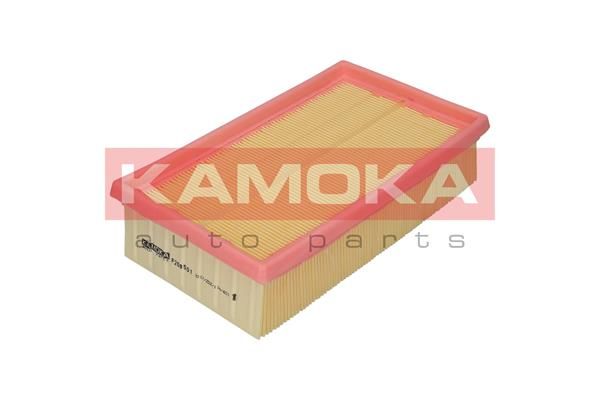 KAMOKA F208501 Oro filtras