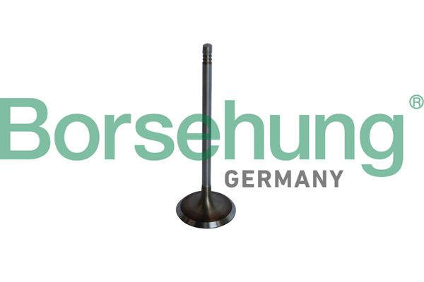 BORSEHUNG B10325 Intake valve