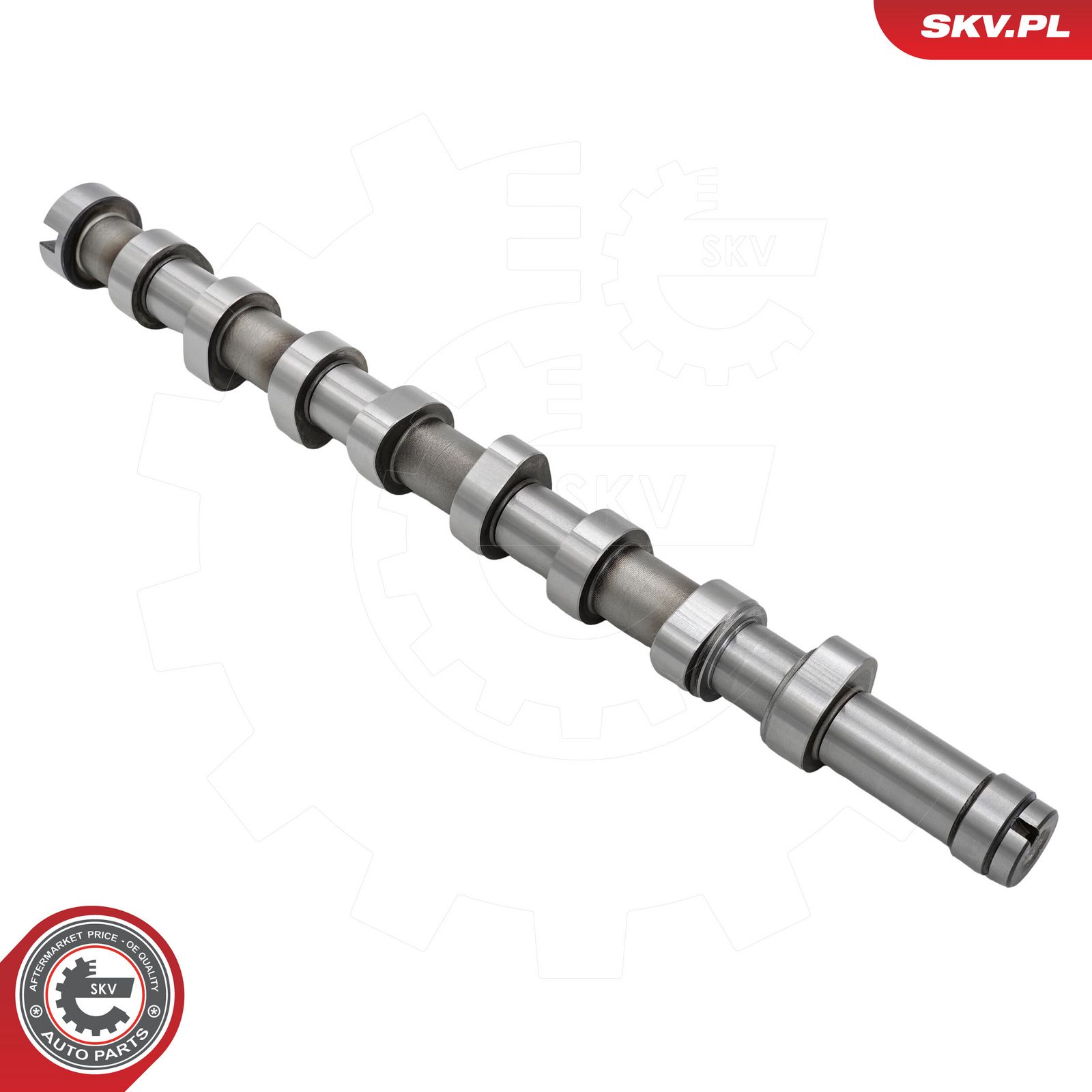 Camshaft Kit-1
