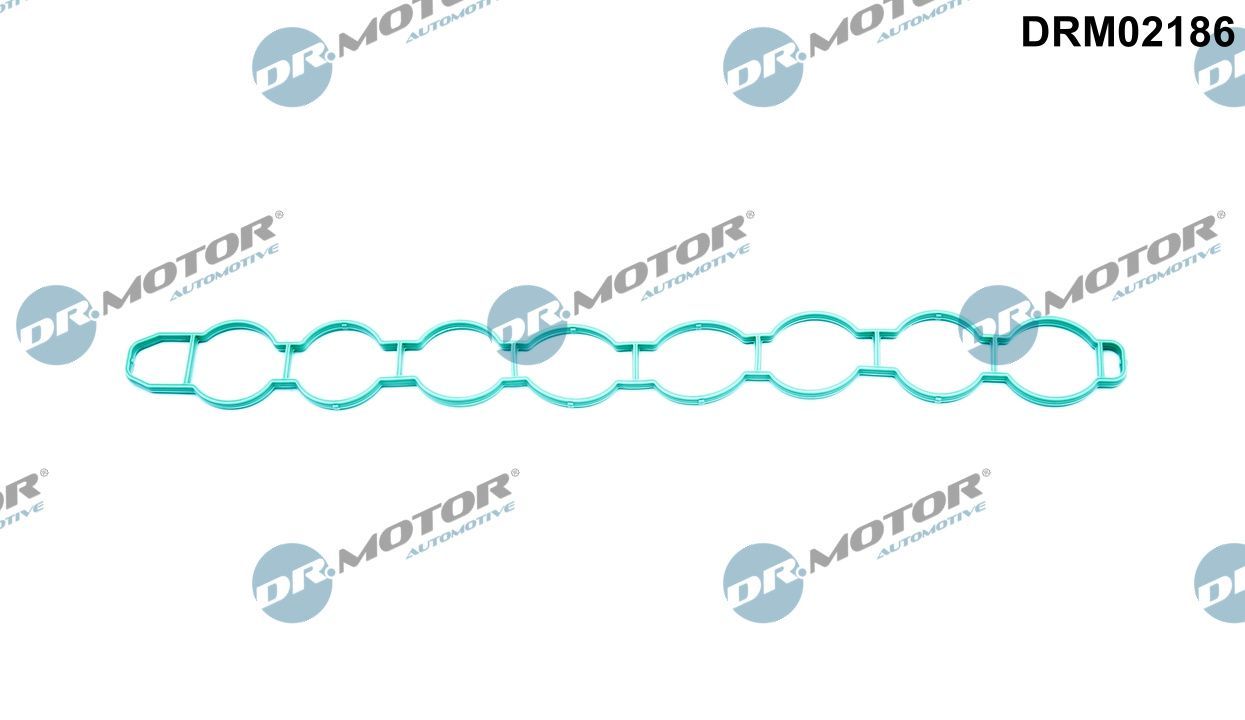 DR.MOTOR AUTOMOTIVE DRM02186 Gasket, intake manifold