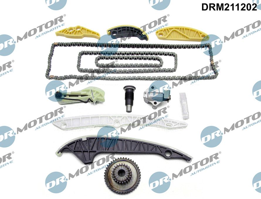 DR.MOTOR AUTOMOTIVE DRM211202 Timing chain kit