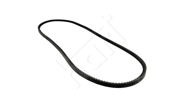 HART 930 695 V-belt