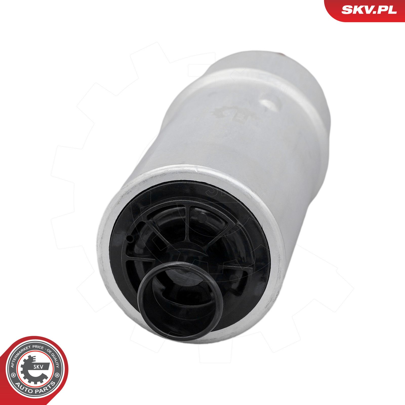 Fuel Pump-2