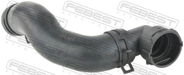 Radiator Hose-main