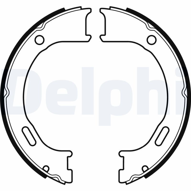 DELPHI LS2076 Brake shoe set, parking brake
