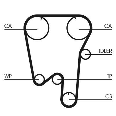 Timing Belt