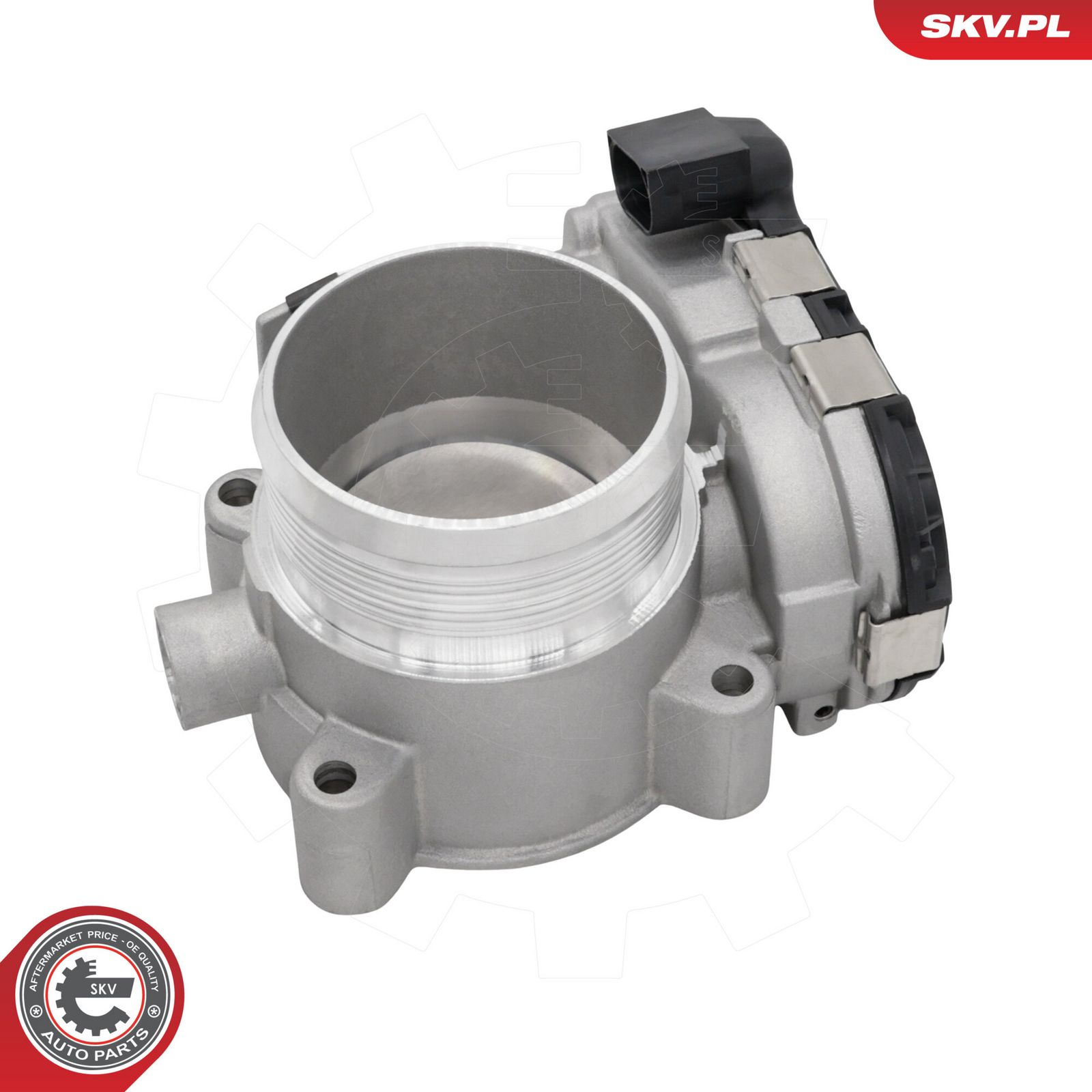 ESEN SKV 12SKV166 Throttle body