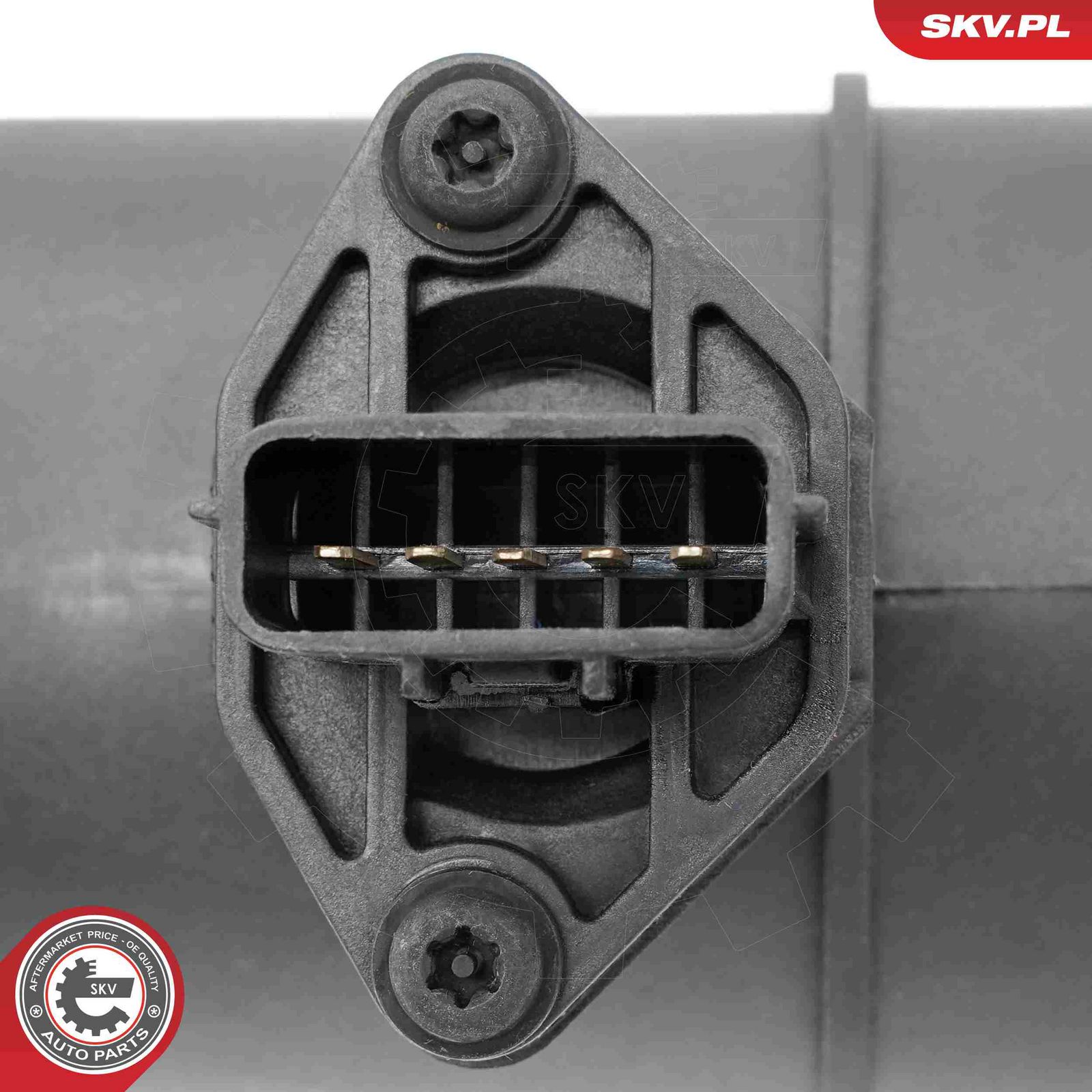 Mass Air Flow Sensor-2