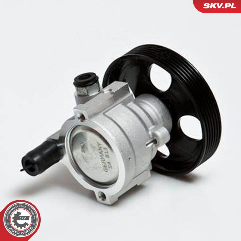 ESEN SKV 10SKV168 Hydraulic pump, steering