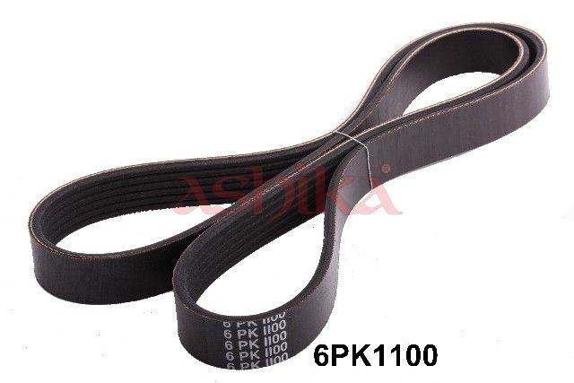 ASHIKA 112-6PK1100 V-ribbed belt