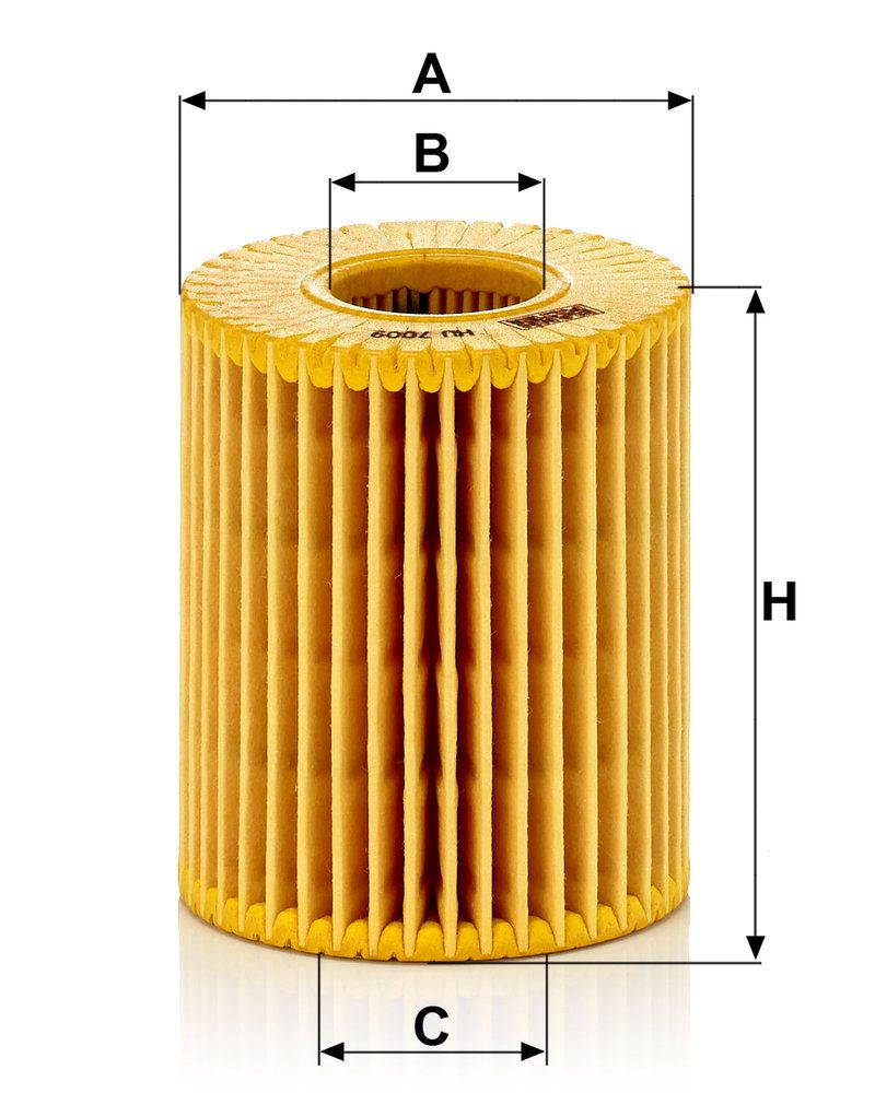 Oil Filter-3