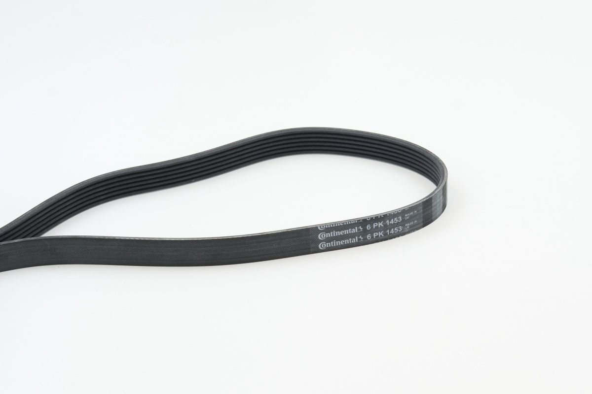 CONTINENTAL CTAM 6PK1453 V-ribbed belt