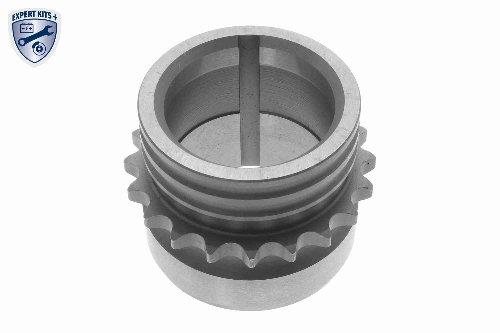 Timing Chain Kit-3