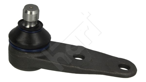 Šarnyras / girgždukas-1