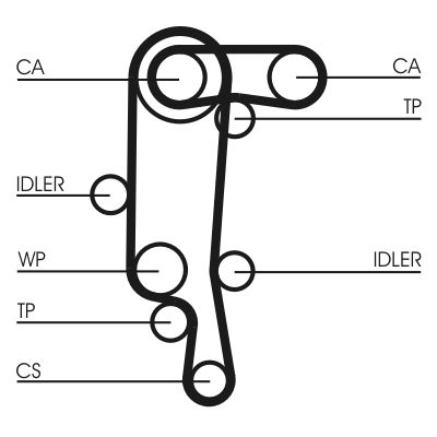 Timing Belt-1