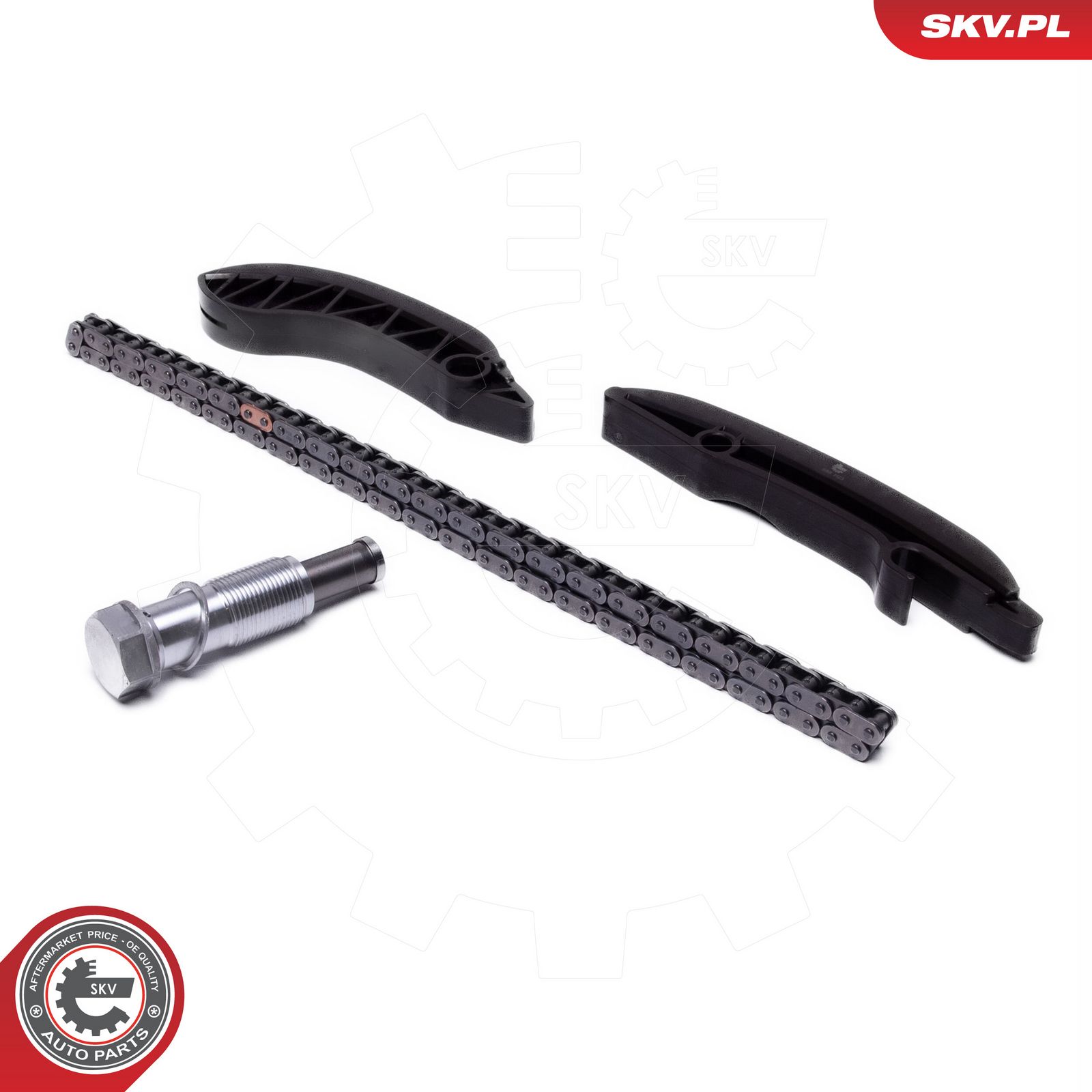 ESEN SKV 21SKV249 Timing chain kit