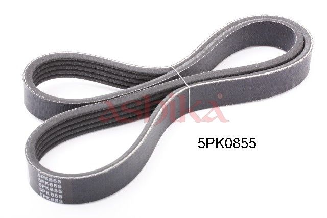 ASHIKA 112-5PK855 V-ribbed belt