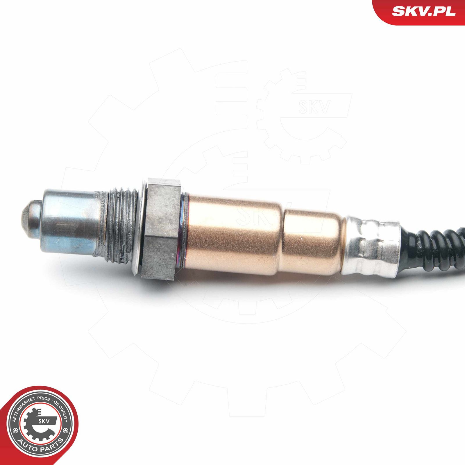 Oxygen Sensor-1