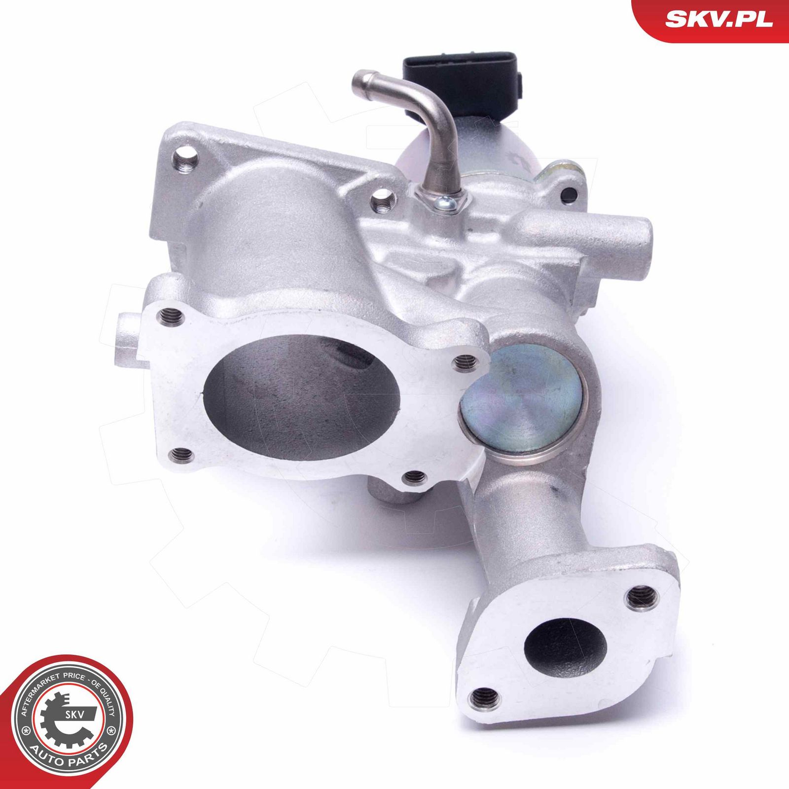 EGR Valve