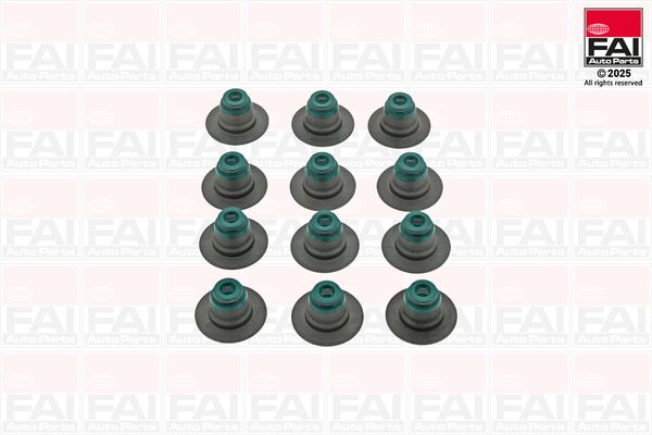 FAI AUTOPARTS VSK1635 Seal set, valve stem