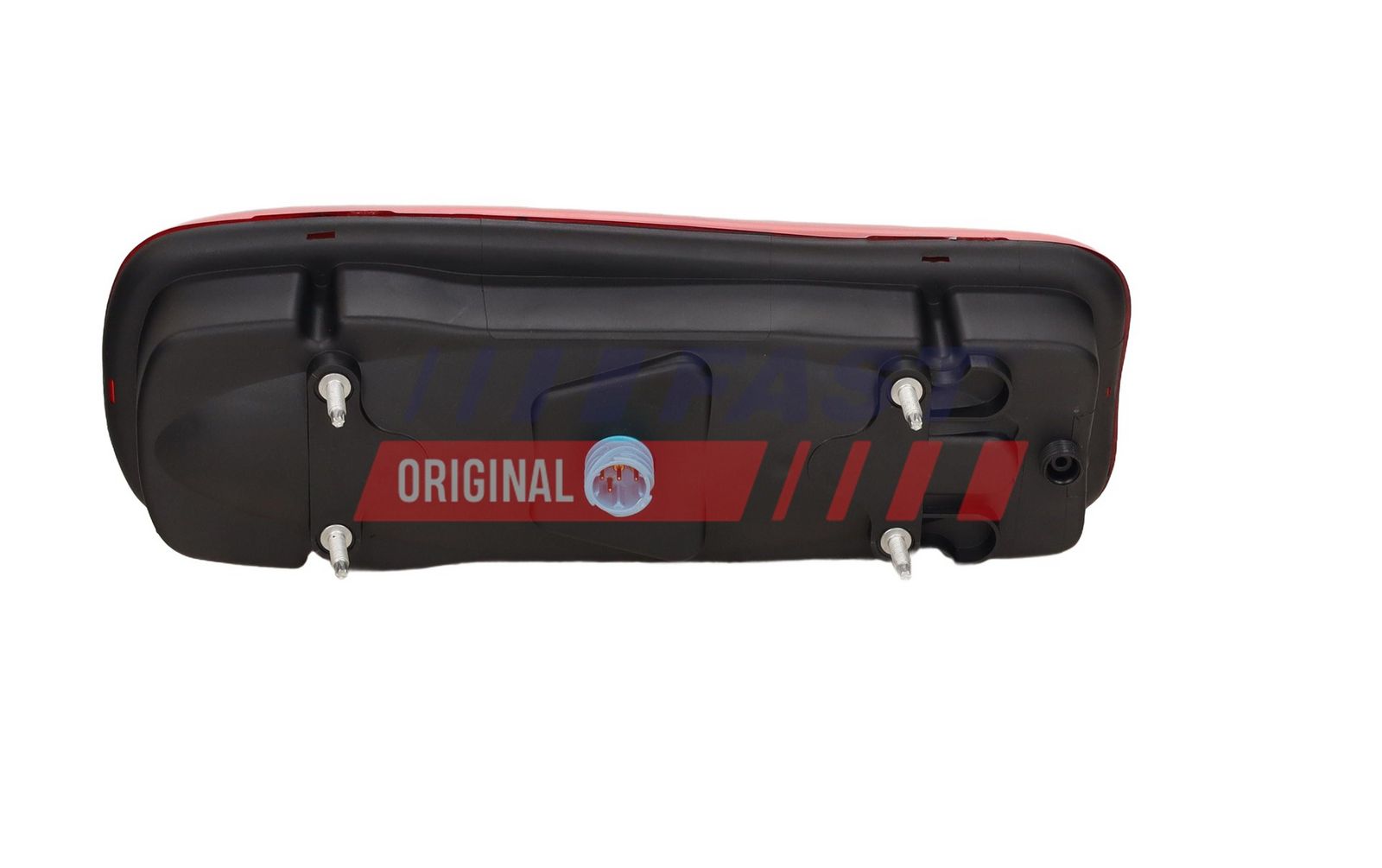 Tail Light Assembly-3