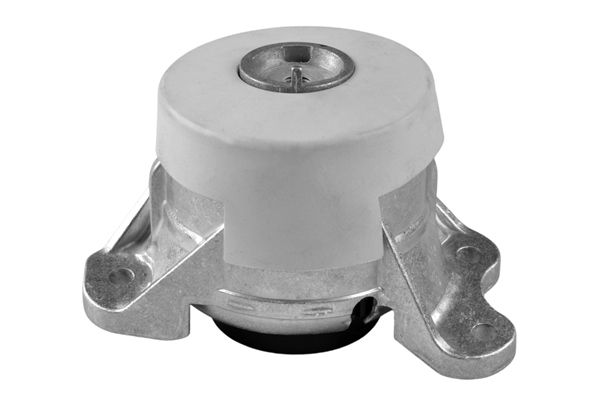 TEDGUM TED46349 Mounting, engine