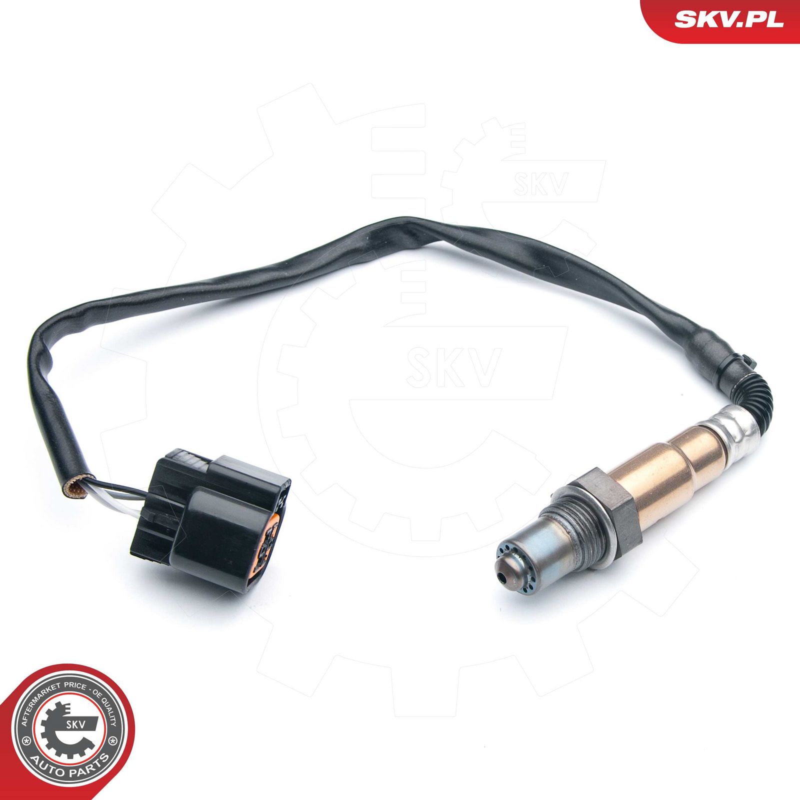 Oxygen Sensor-1
