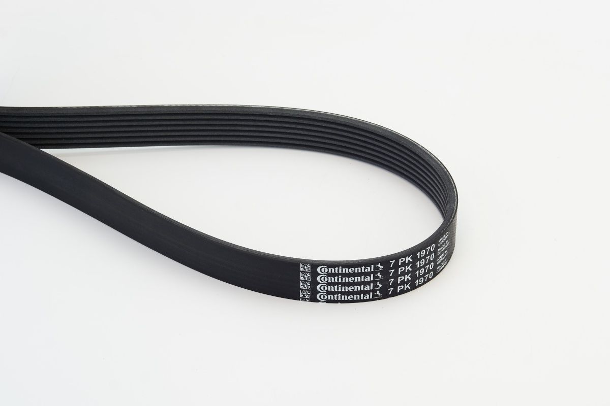 CONTINENTAL CTAM 7PK1970 V-ribbed belt