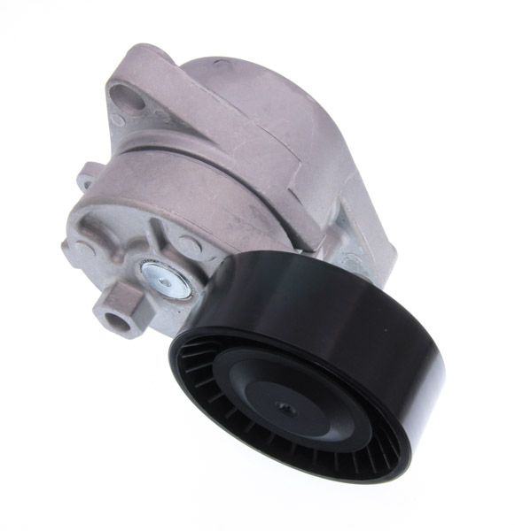 MAXGEAR 54-0446 Belt tensioner, v-ribbed belt