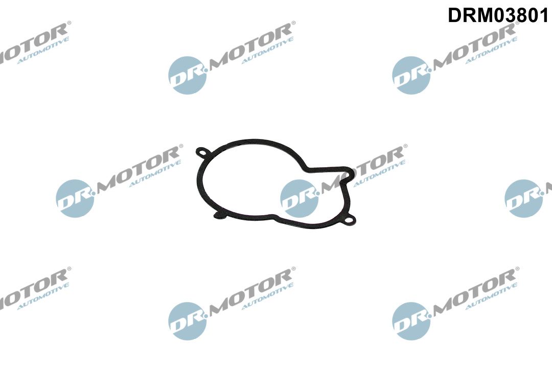 DR.MOTOR AUTOMOTIVE DRM03801 Seal, injection pump