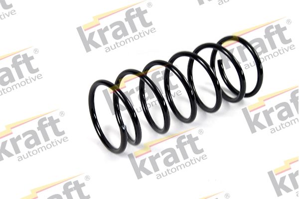 Suspension Spring-main