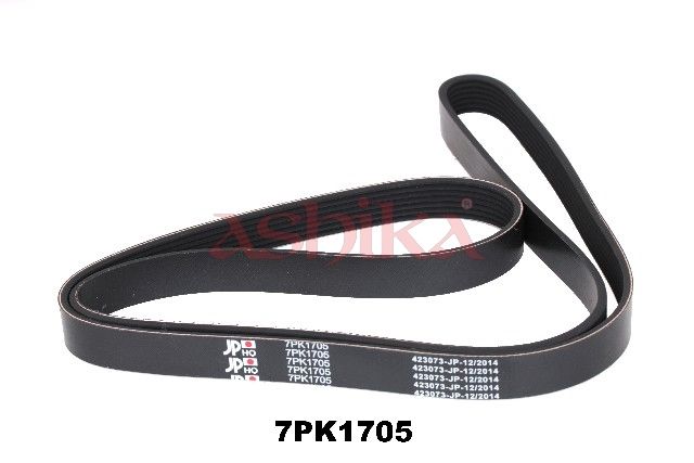 ASHIKA 112-7PK1705 V-ribbed belt
