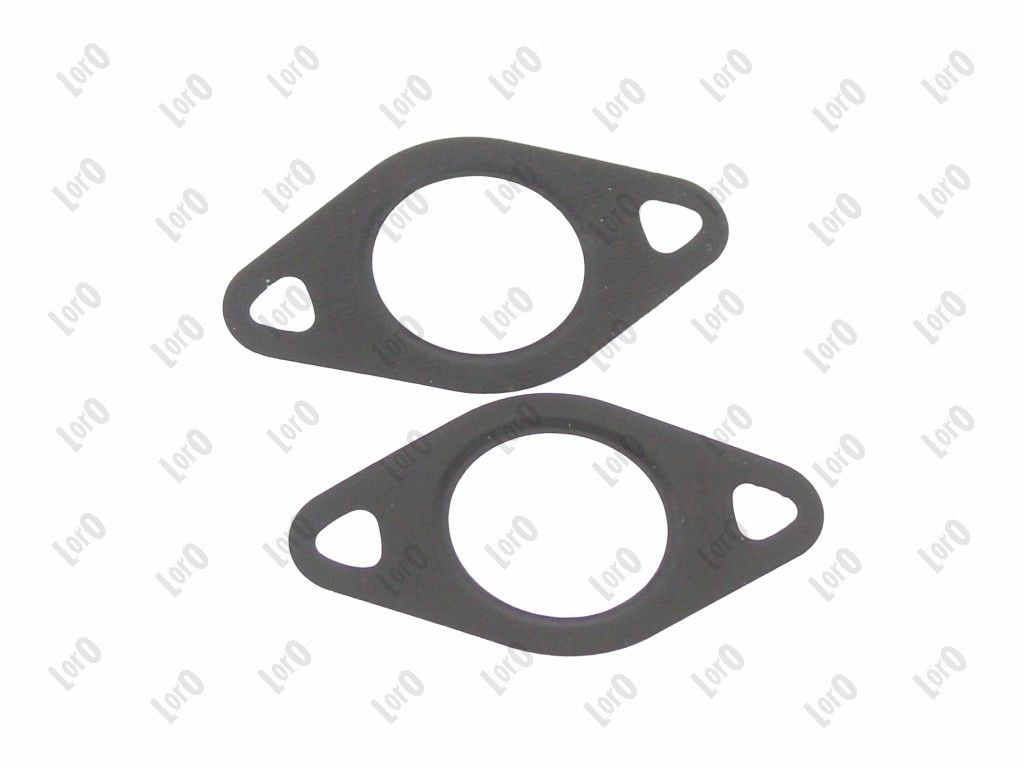 EGR Valve-5
