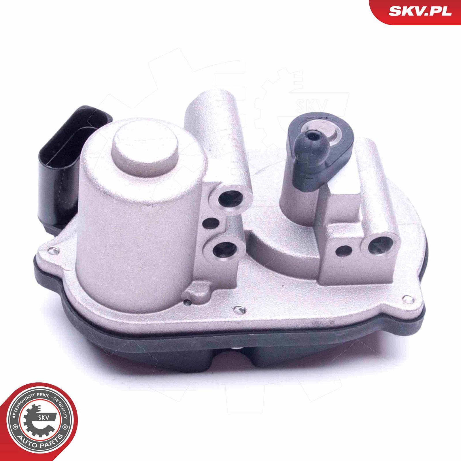 Control, swirl flaps (induction pipe)